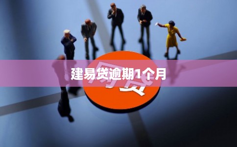 建易贷逾期1个月