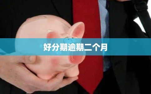 好分期逾期二个月