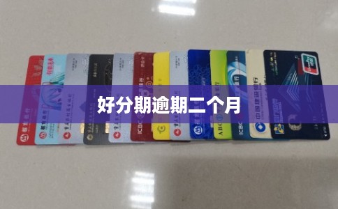 好分期逾期二个月