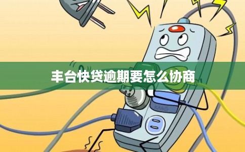 丰台快贷逾期要怎么协商