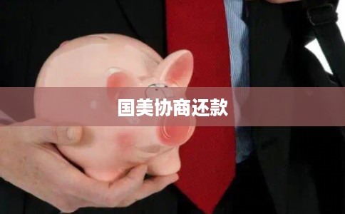国美协商还款