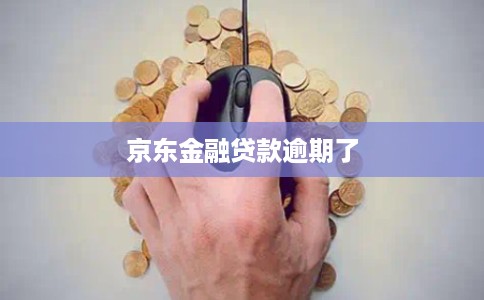 京东金融贷款逾期了