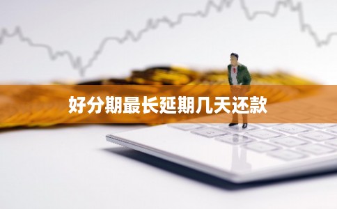 好分期最长延期几天还款