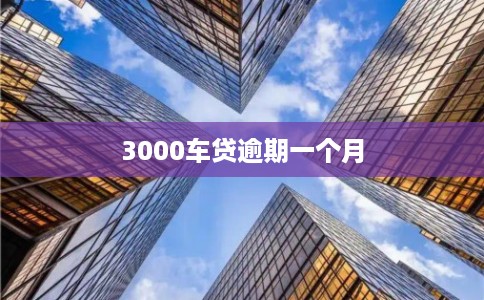3000车贷逾期一个月