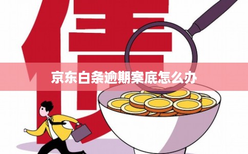 京东白条逾期案底怎么办 京东白条逾期案底怎么办