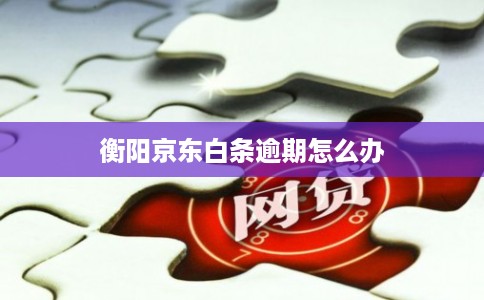 衡阳京东白条逾期怎么办