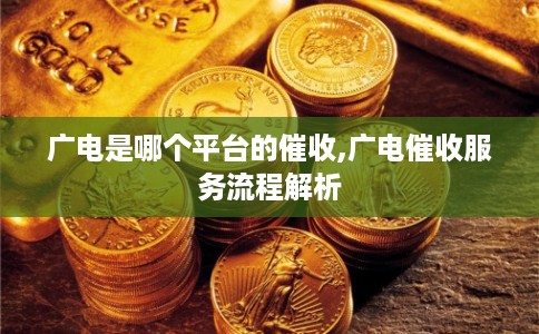 广电是哪个平台的催收,广电催收服务流程解析