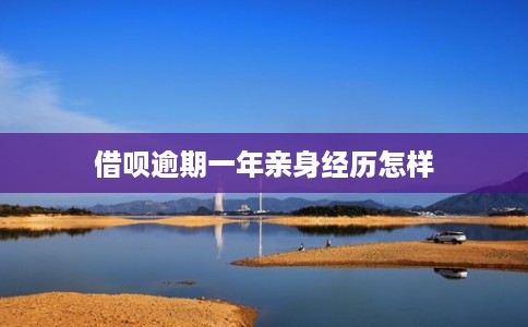 借呗逾期一年亲身经历怎样 借呗逾期一年亲身经历怎样