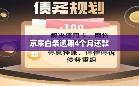 京东白条逾期4个月还款