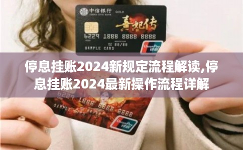 停息挂账2024新规定流程解读,停息挂账2024最新操作流程详解