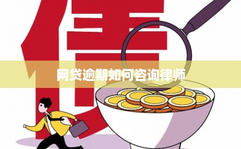 网贷逾期如何咨询律师
