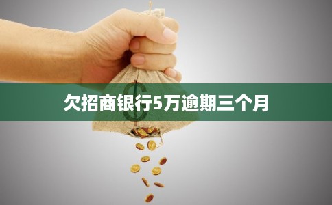 欠招商银行5万逾期三个月