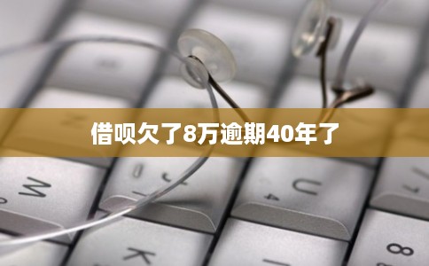 借呗欠了8万逾期40年了