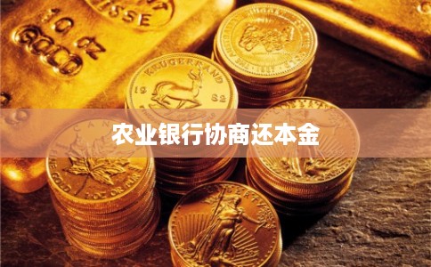 农业银行协商还本金