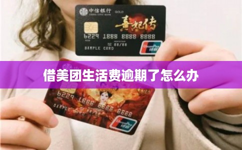 借美团生活费逾期了怎么办