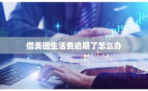 借美团生活费逾期了怎么办