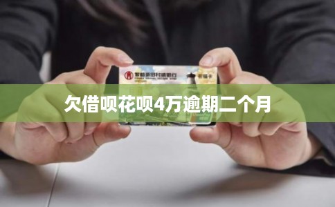 欠借呗花呗4万逾期二个月