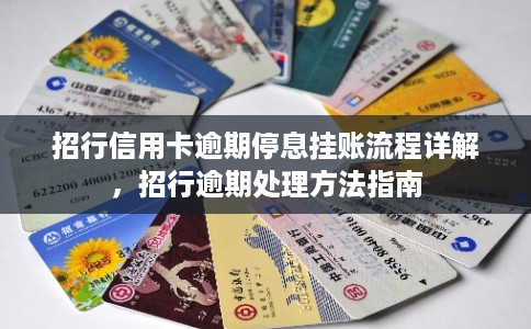 招行信用卡逾期停息挂账流程详解，招行逾期处理方法指南