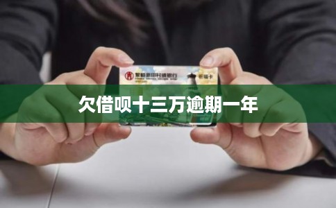 欠借呗十三万逾期一年