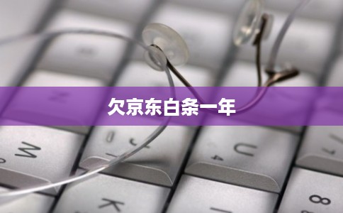 欠京东白条一年