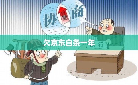 欠京东白条一年