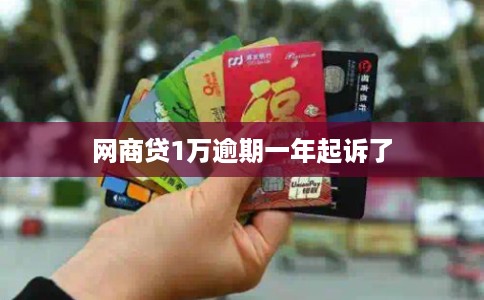 网商贷1万逾期一年起诉了