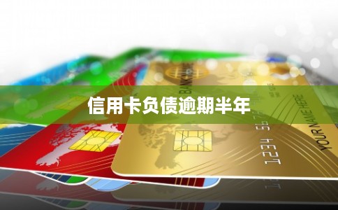 信用卡负债逾期半年