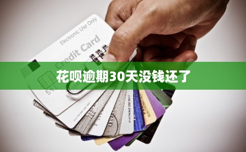 花呗逾期30天没钱还了