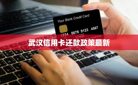 武汉信用卡还款政策最新