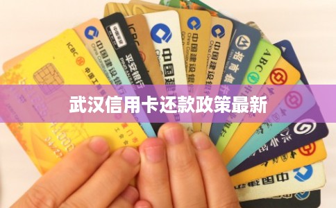 武汉信用卡还款政策最新