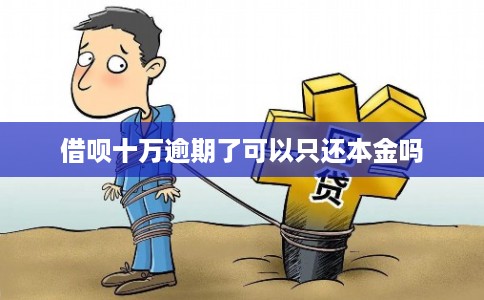 借呗十万逾期了可以只还本金吗 借呗十万逾期了可以只还本金吗