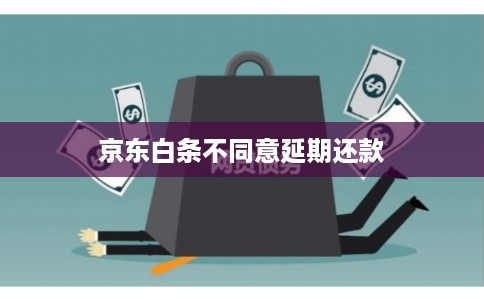 京东白条不同意延期还款