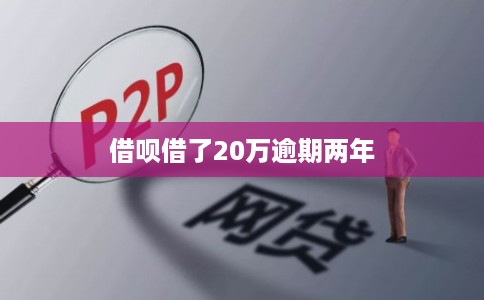 借呗借了20万逾期两年