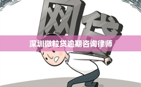 深圳微粒贷逾期咨询律师