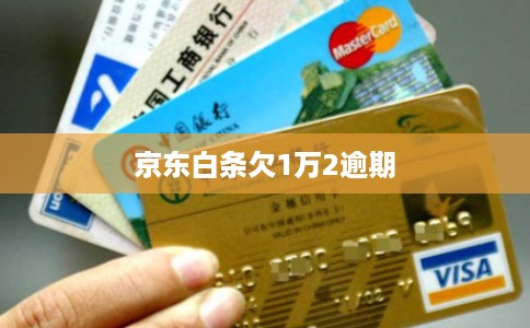 京东白条欠1万2逾期 京东白条欠1万2逾期