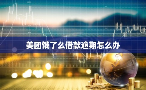 美团饿了么借款逾期怎么办