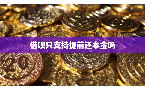 借呗只支持提前还本金吗