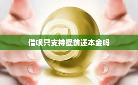 借呗只支持提前还本金吗