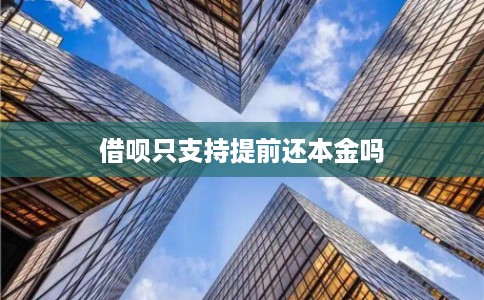 借呗只支持提前还本金吗