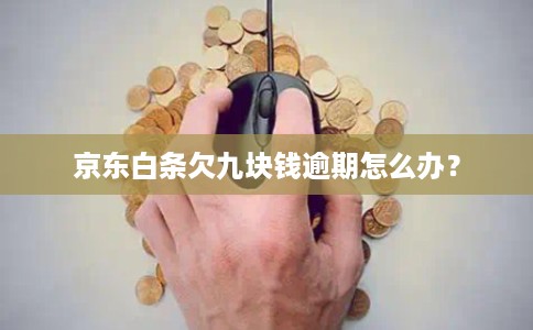 京东白条欠九块钱逾期怎么办？
