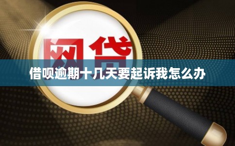 借呗逾期十几天要起诉我怎么办