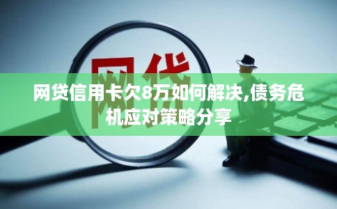 网贷信用卡欠8万如何解决,债务危机应对策略分享