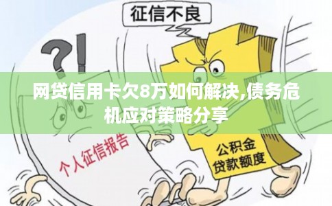 网贷信用卡欠8万如何解决,债务危机应对策略分享