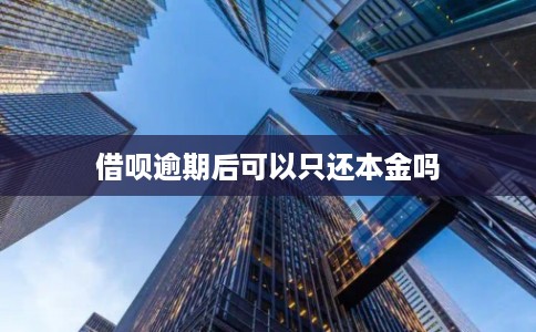 借呗逾期后可以只还本金吗