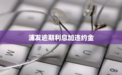 浦发逾期利息加违约金 浦发逾期利息加违约金