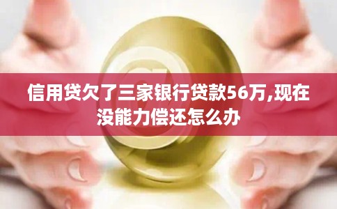 信用贷欠了三家银行贷款56万,现在没能力偿还怎么办