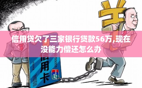 信用贷欠了三家银行贷款56万,现在没能力偿还怎么办
