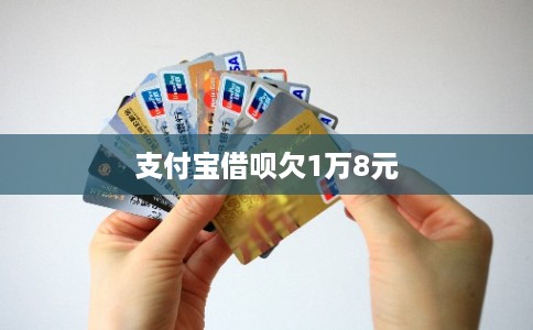 支付宝借呗欠1万8元