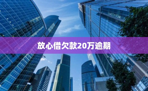 放心借欠款20万逾期