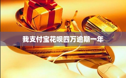 我支付宝花呗四万逾期一年